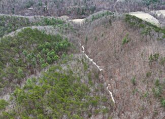 Mountain Hunting Retreat Near Lake Moomaw | 62.5± Acres