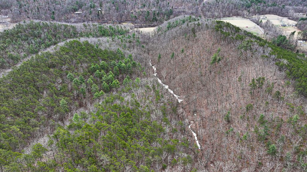 Mountain Hunting Retreat Near Lake Moomaw | 62.5± Acres