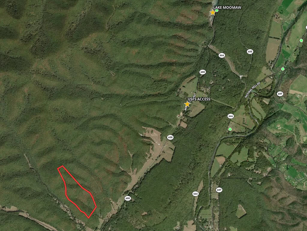 Mountain Hunting Retreat Near Lake Moomaw | 62.5± Acres