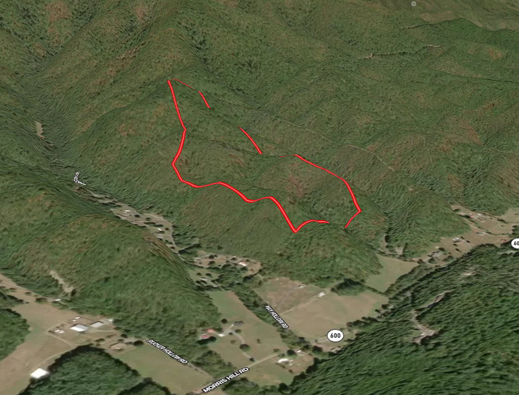 Mountain Hunting Retreat Near Lake Moomaw | 62.5± Acres