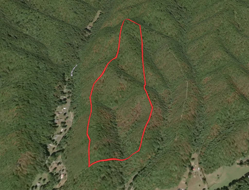 Mountain Hunting Retreat Near Lake Moomaw | 62.5± Acres