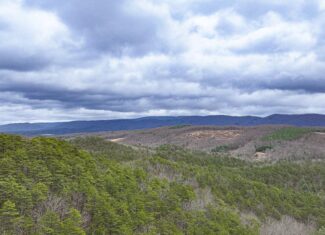 Mountain Hunting Retreat Near Lake Moomaw | 62.5± Acres