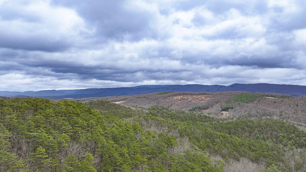 Mountain Hunting Retreat Near Lake Moomaw | 62.5± Acres