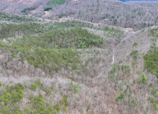 Mountain Hunting Retreat Near Lake Moomaw | 62.5± Acres