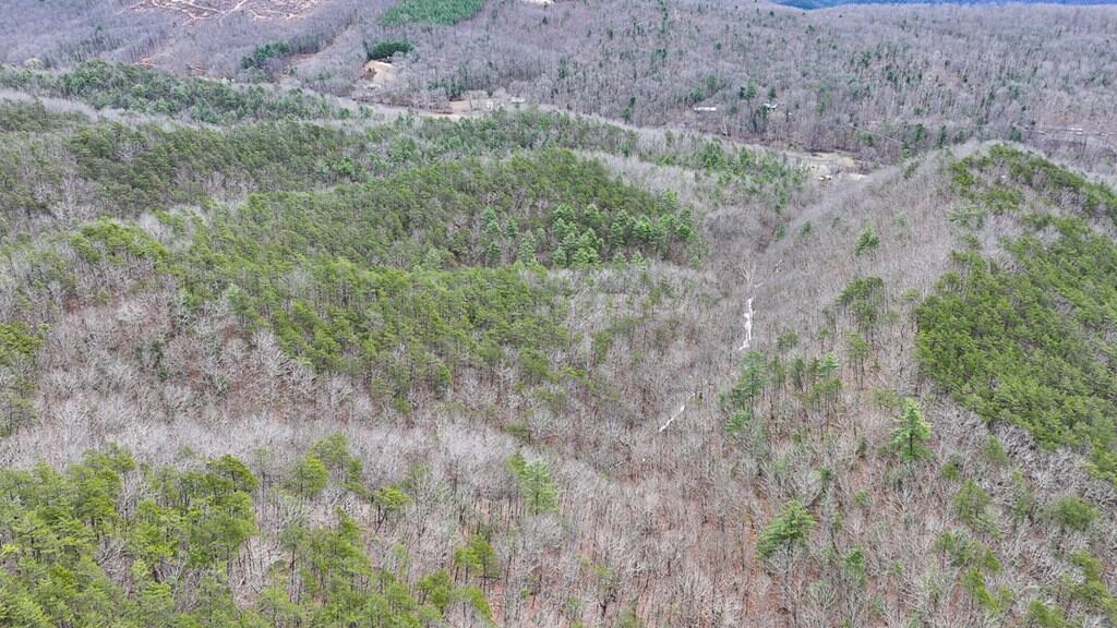 Mountain Hunting Retreat Near Lake Moomaw | 62.5± Acres