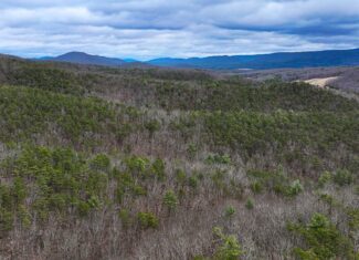 Mountain Hunting Retreat Near Lake Moomaw | 62.5± Acres