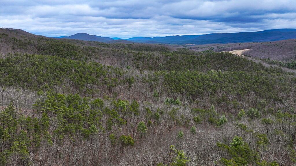 Mountain Hunting Retreat Near Lake Moomaw | 62.5± Acres