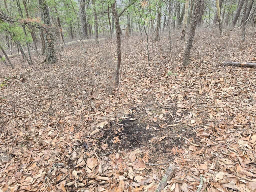 Mountain Hunting Retreat Near Lake Moomaw | 62.5± Acres