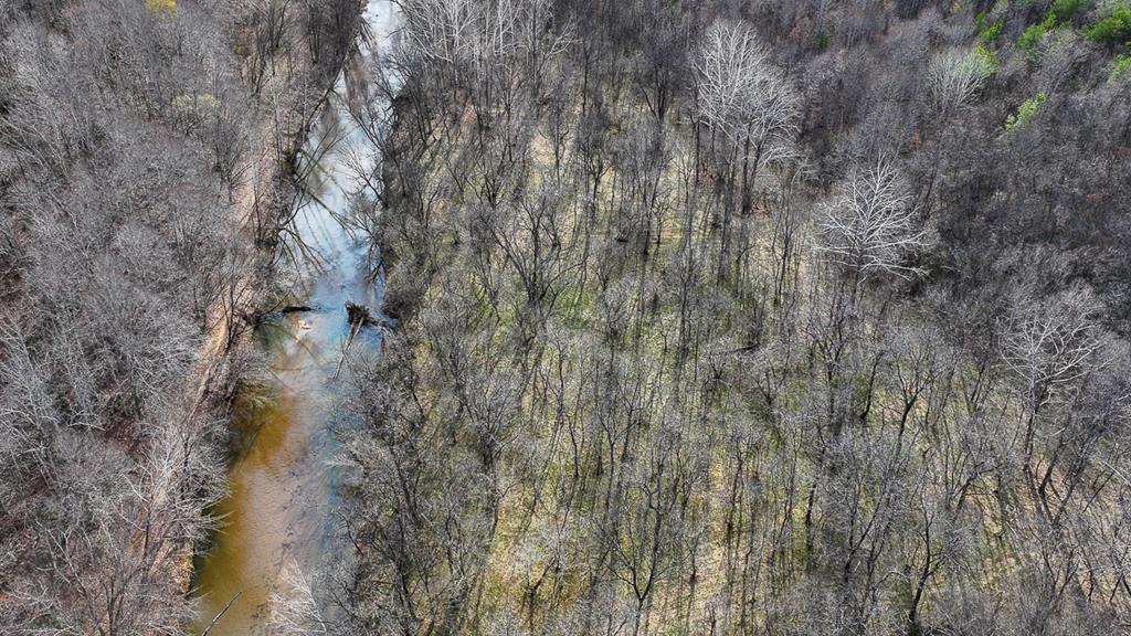 Private Retreat with Hunting & Outdoor Lifestyle Appeal