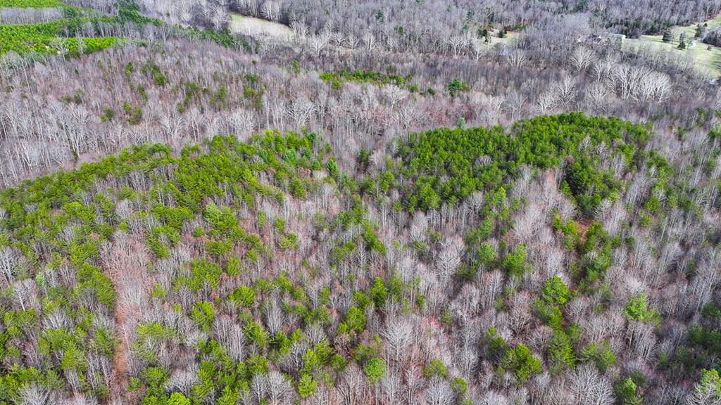 Private Retreat with Hunting & Outdoor Lifestyle Appeal