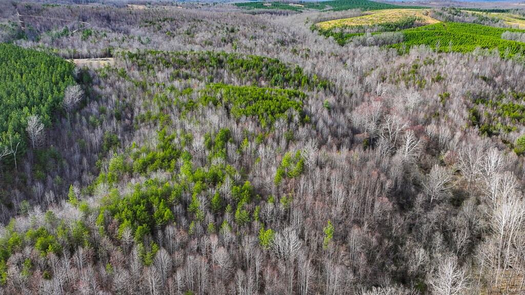 Private Retreat with Hunting & Outdoor Lifestyle Appeal