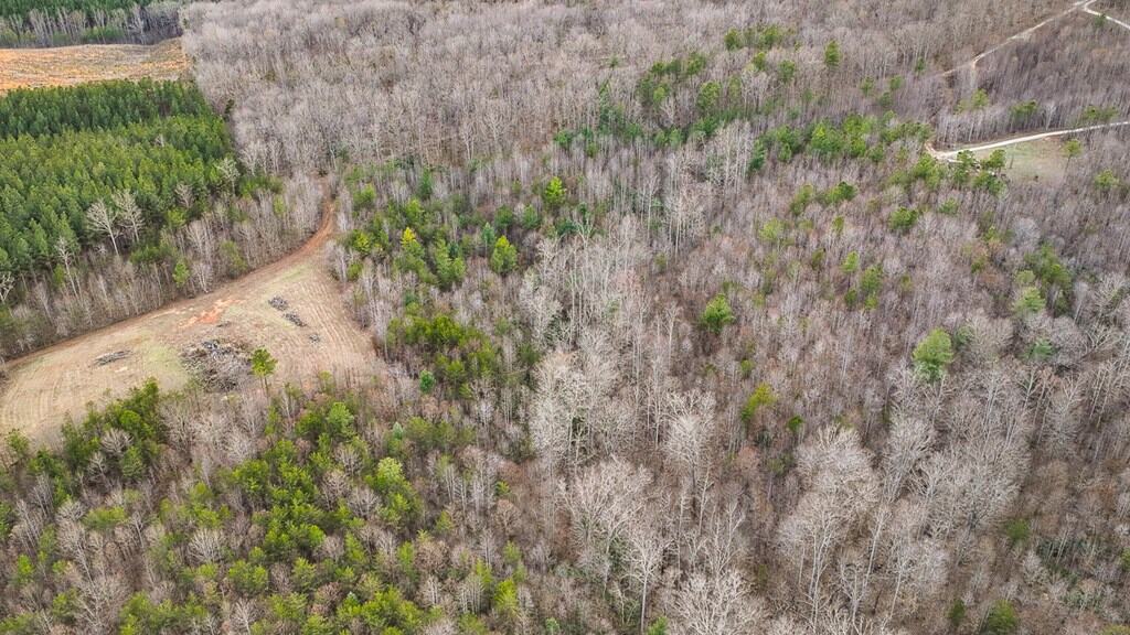 Private Retreat with Hunting & Outdoor Lifestyle Appeal