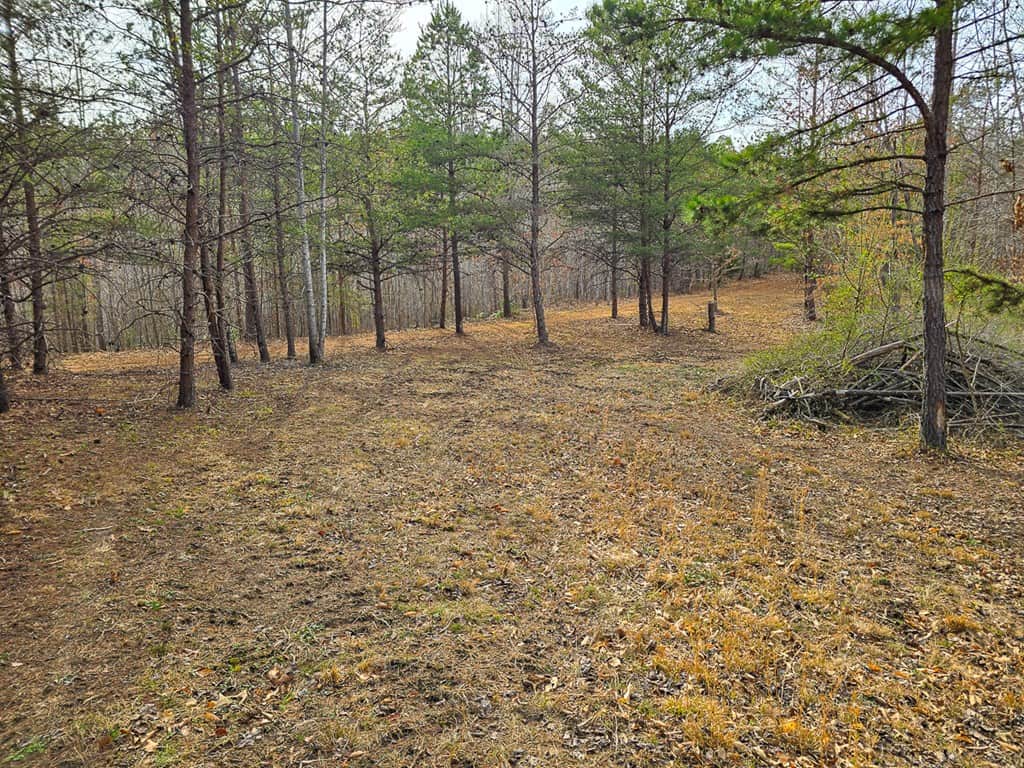 Private Retreat with Hunting & Outdoor Lifestyle Appeal