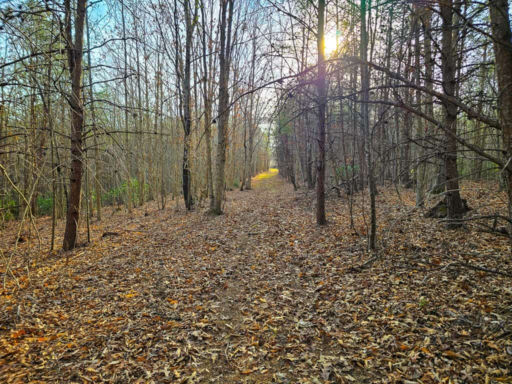 Private Retreat with Hunting & Outdoor Lifestyle Appeal