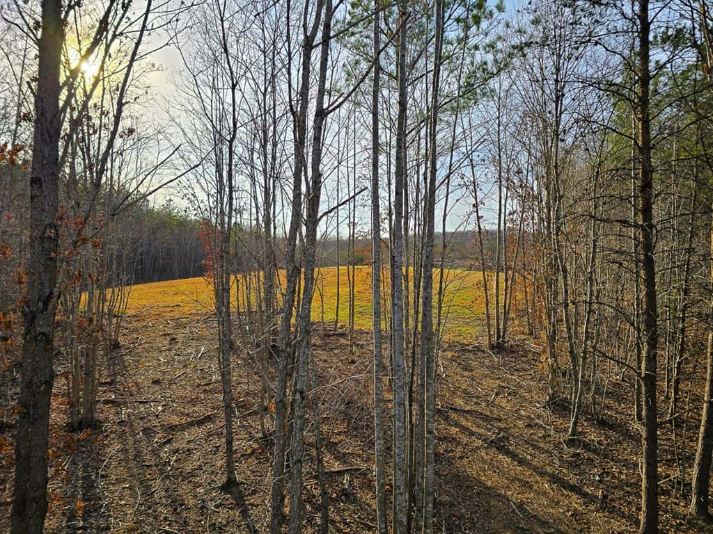 Private Retreat with Hunting & Outdoor Lifestyle Appeal