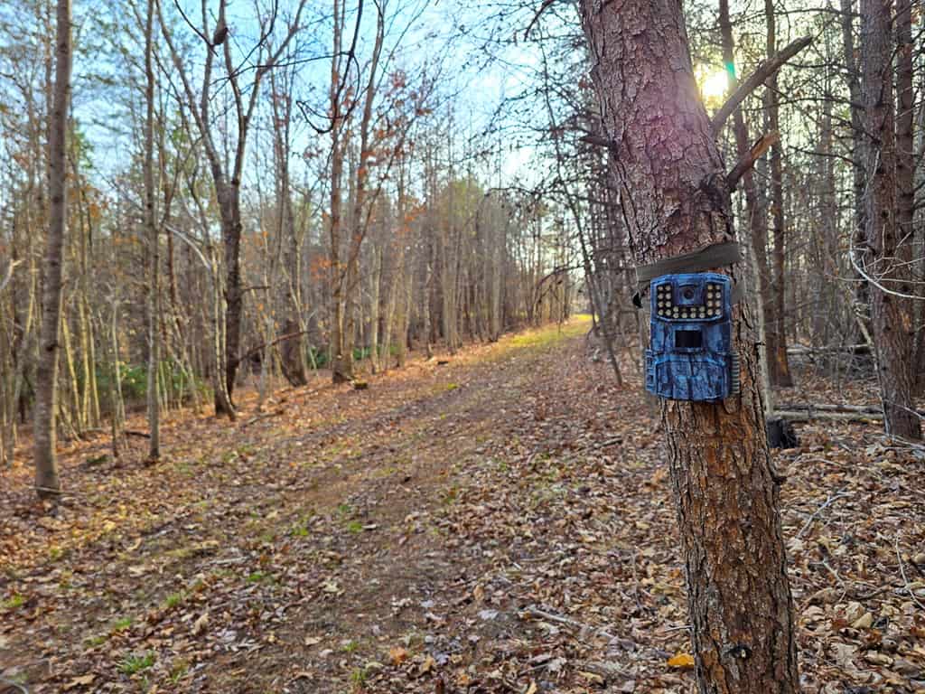 Private Retreat with Hunting & Outdoor Lifestyle Appeal