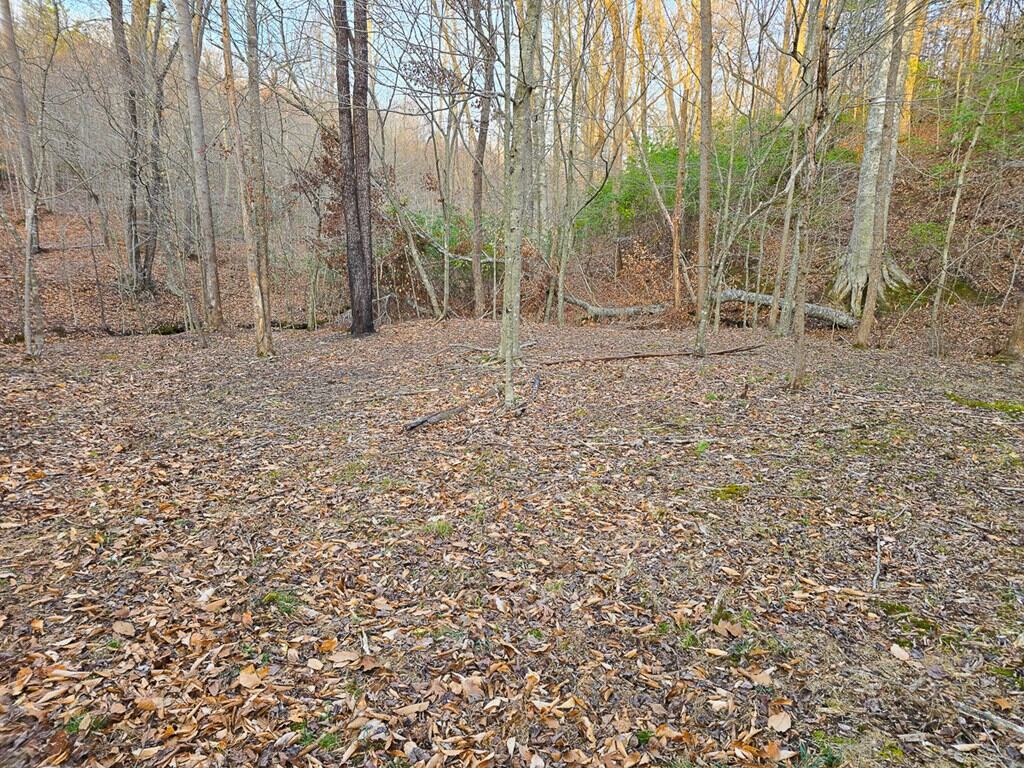 Private Retreat with Hunting & Outdoor Lifestyle Appeal