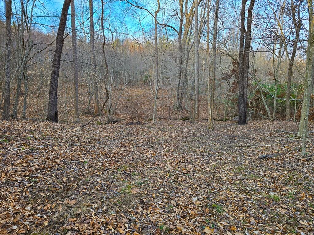 Private Retreat with Hunting & Outdoor Lifestyle Appeal