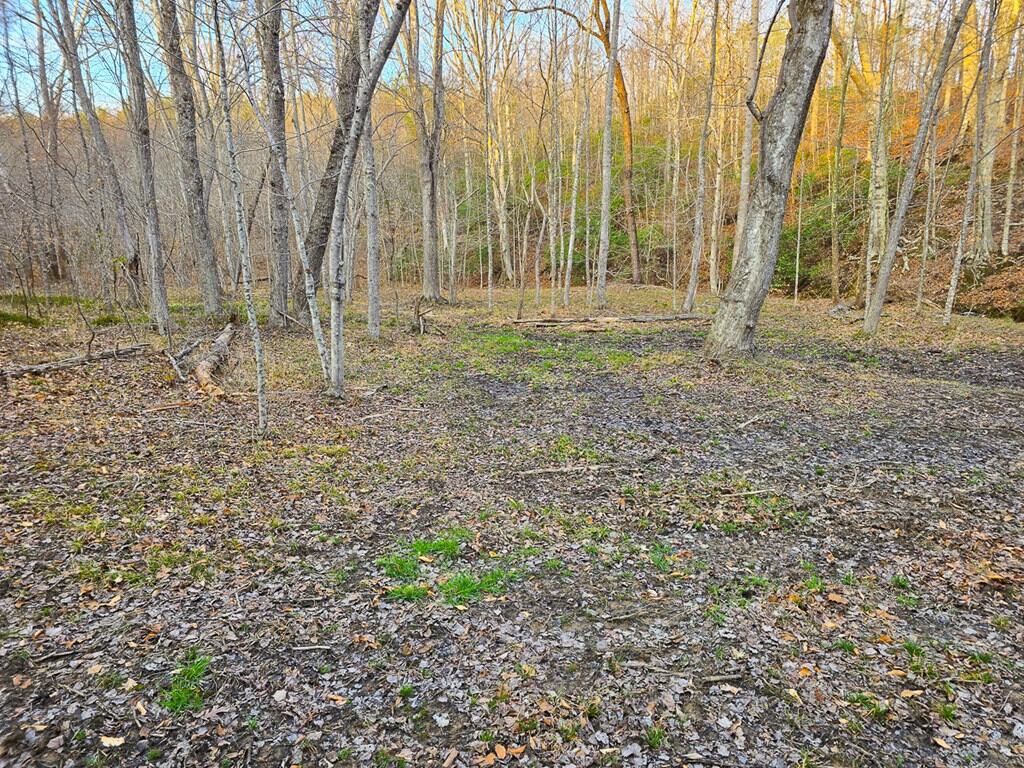Private Retreat with Hunting & Outdoor Lifestyle Appeal