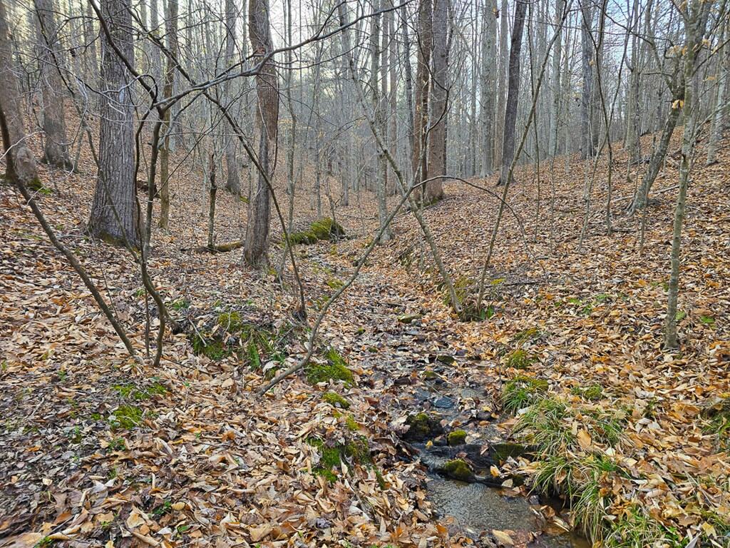 Private Retreat with Hunting & Outdoor Lifestyle Appeal