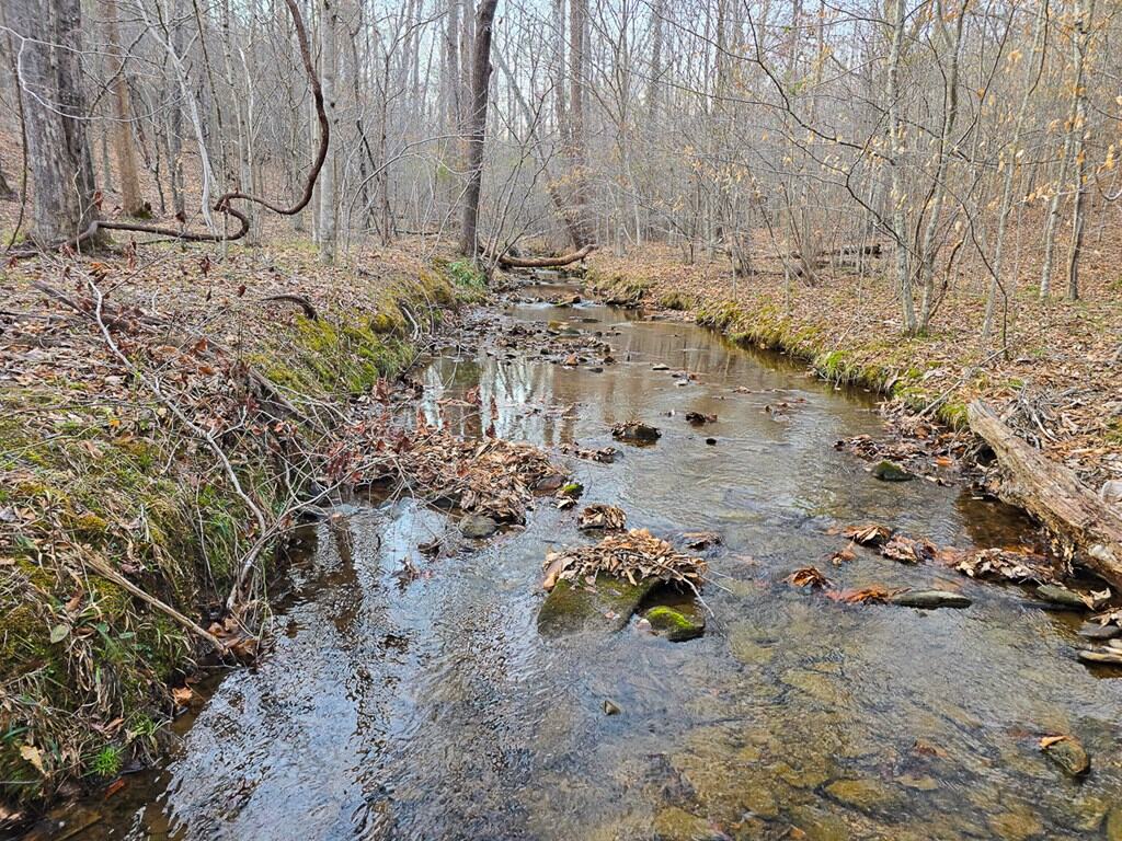 Private Retreat with Hunting & Outdoor Lifestyle Appeal