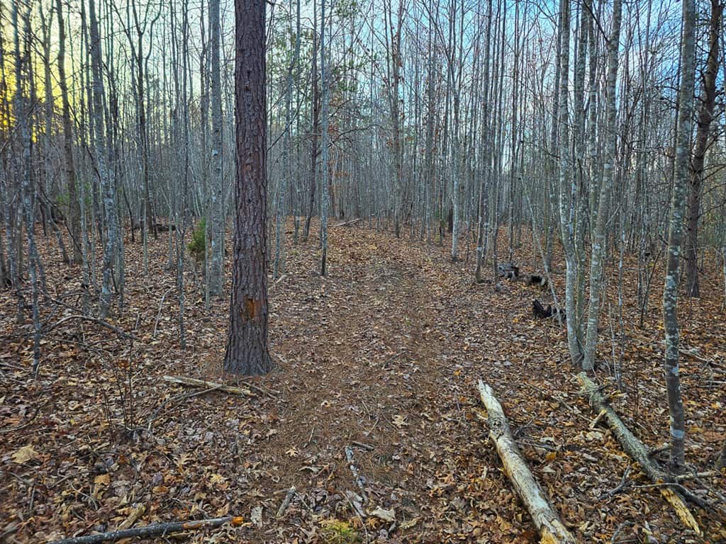 Private Retreat with Hunting & Outdoor Lifestyle Appeal