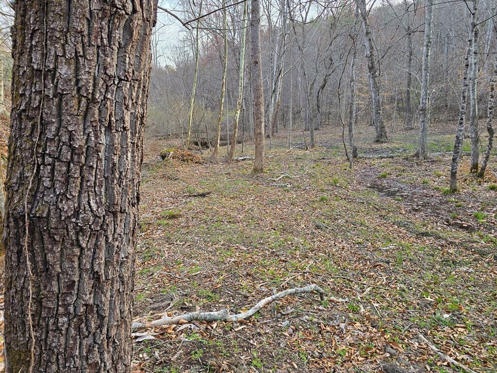 Private Retreat with Hunting & Outdoor Lifestyle Appeal