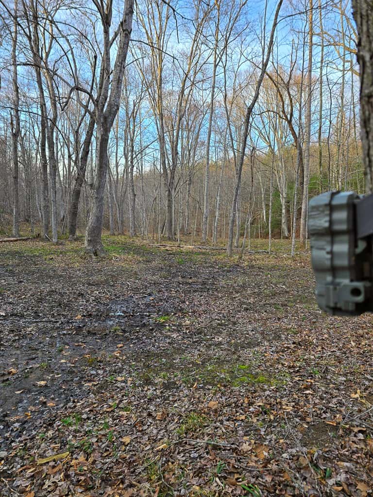 Private Retreat with Hunting & Outdoor Lifestyle Appeal