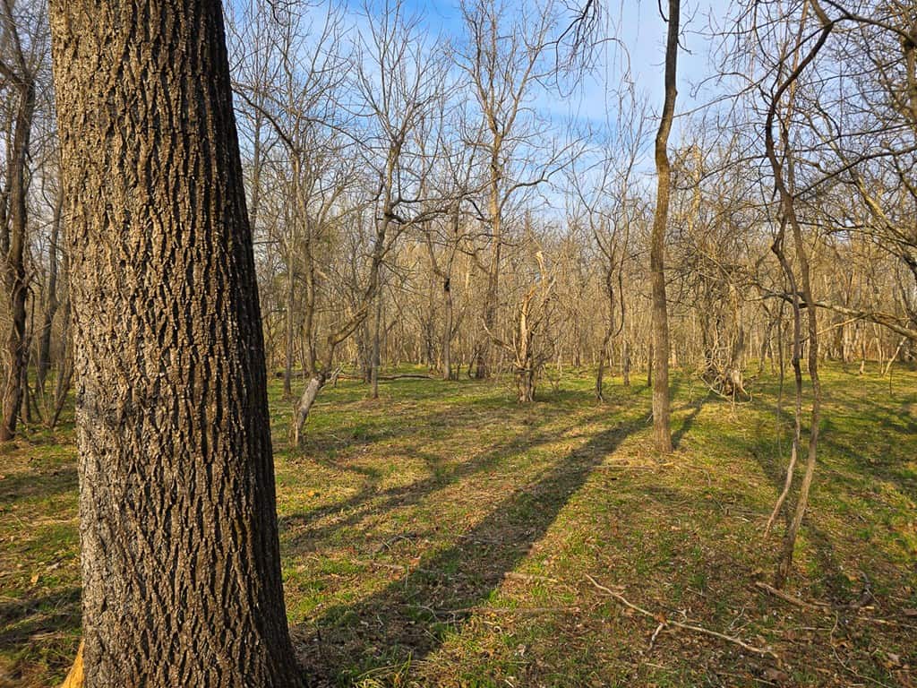 Private Retreat with Hunting & Outdoor Lifestyle Appeal