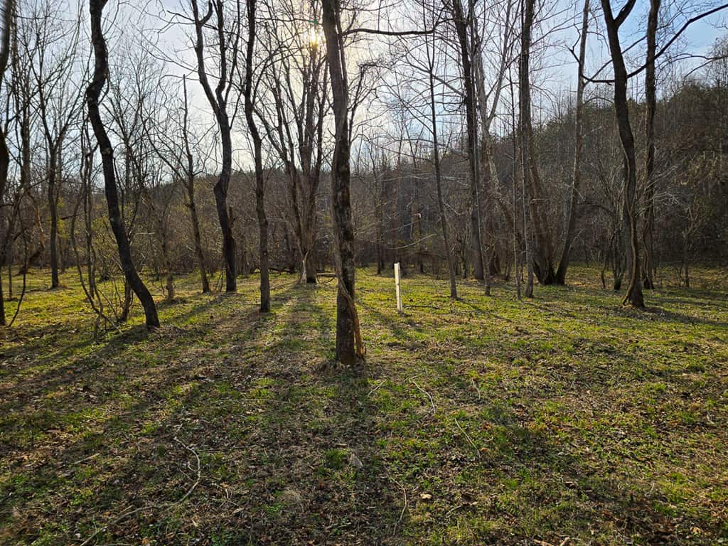 Private Retreat with Hunting & Outdoor Lifestyle Appeal