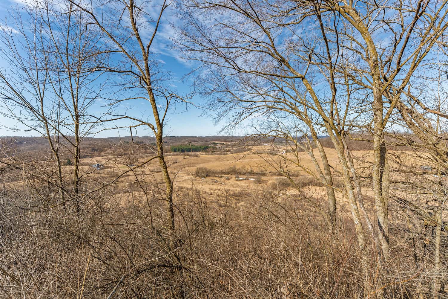 50 Acre Recreational -Hunting Land For Sale Richland County WI