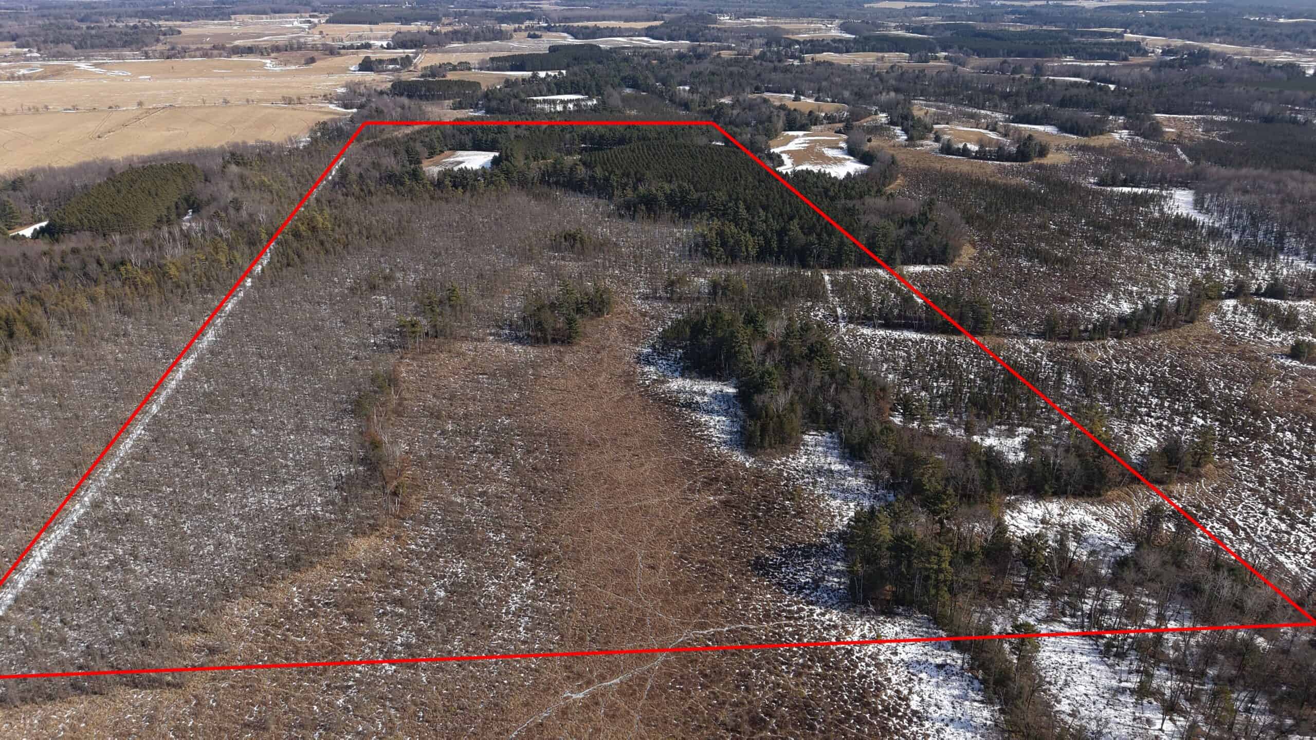 Portage County Wisconsin 80 Acres of Hunting Land for Sale