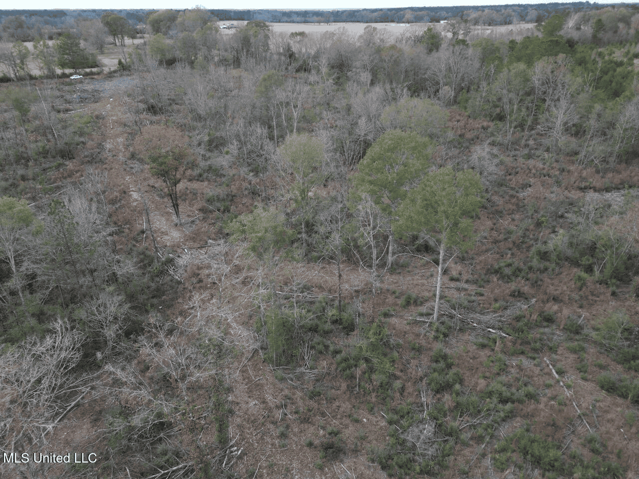 36 Acres in Pike County, Mississippi – Scenic Rural Retreat