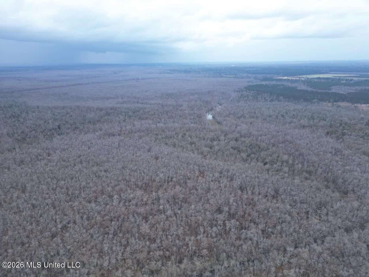 431± Acres with Calcasieu River Frontage in Calcasieu Parish