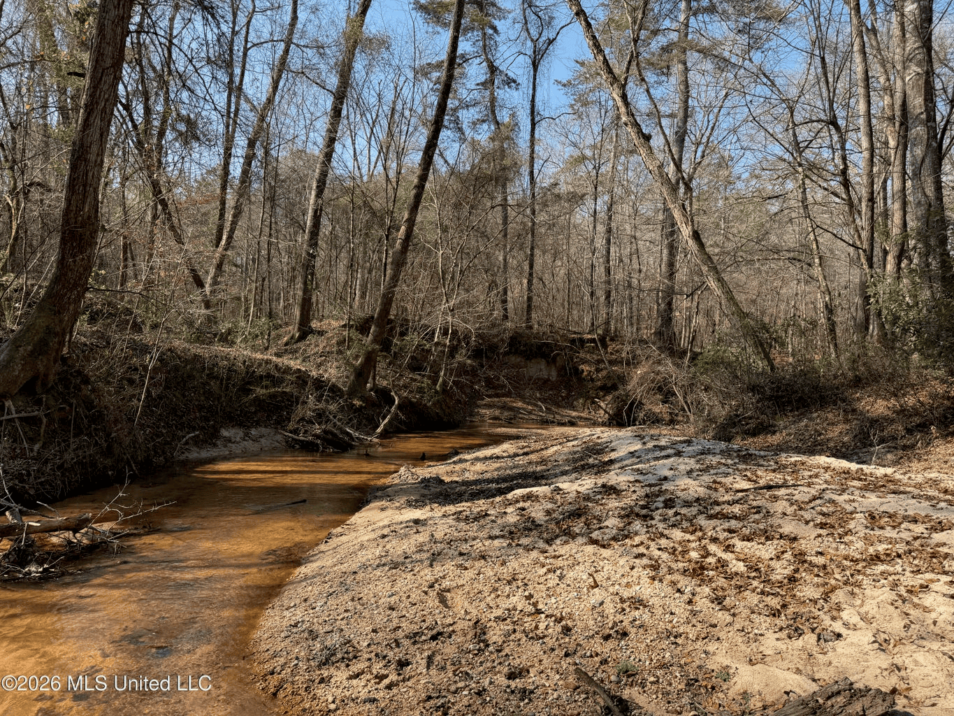 Land for Sale in Simpson County
