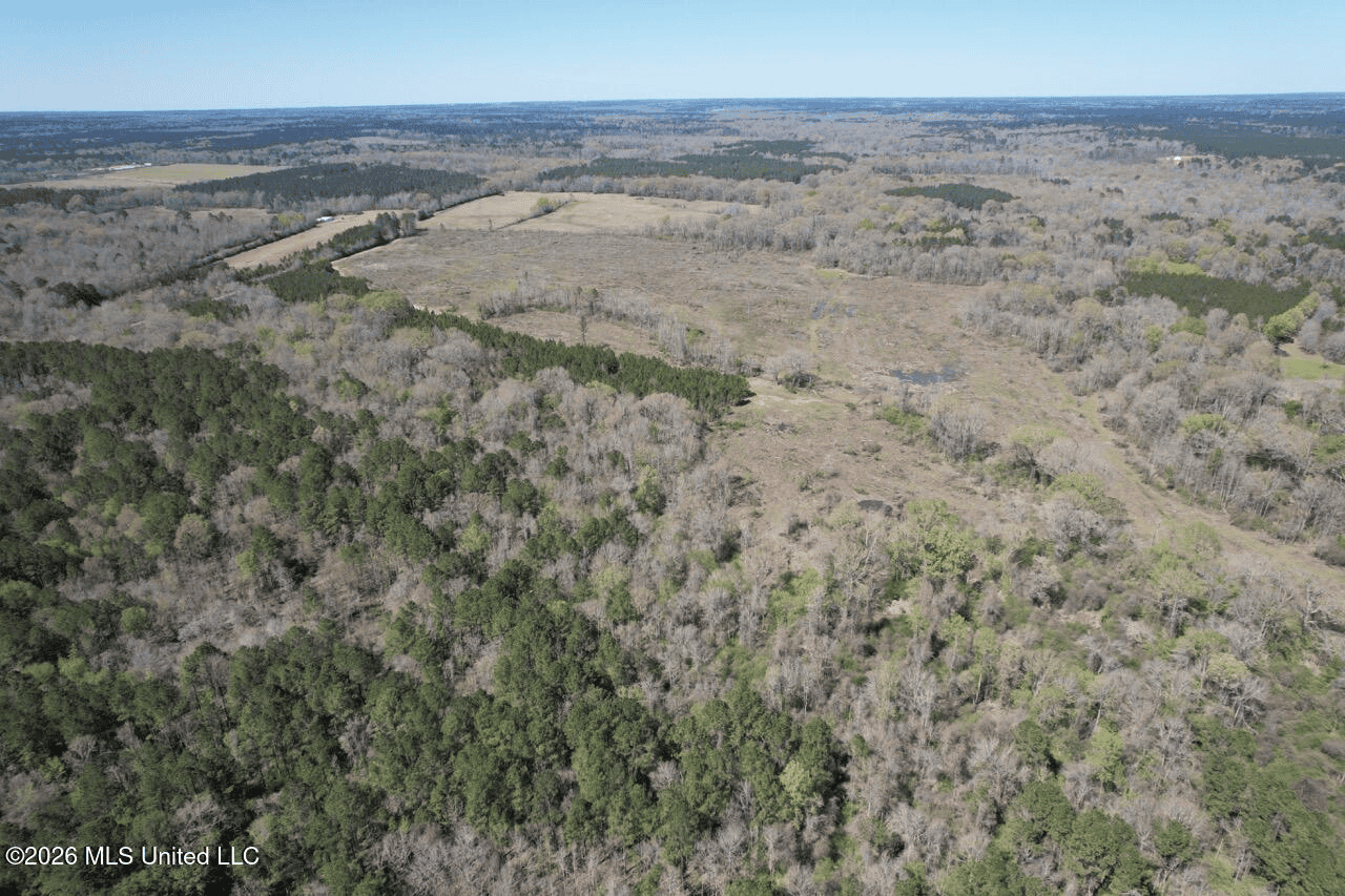 123± Acres Centreville MS on Chance Rd Amite County
