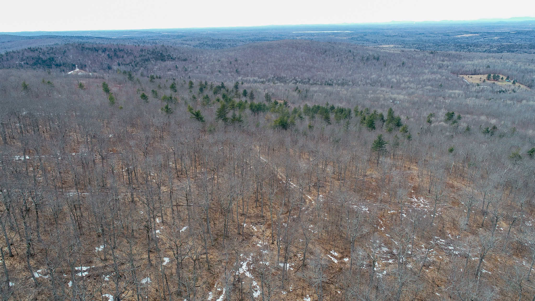 Expansive Mountain-View Acreage with Timber Value & Road Frontage