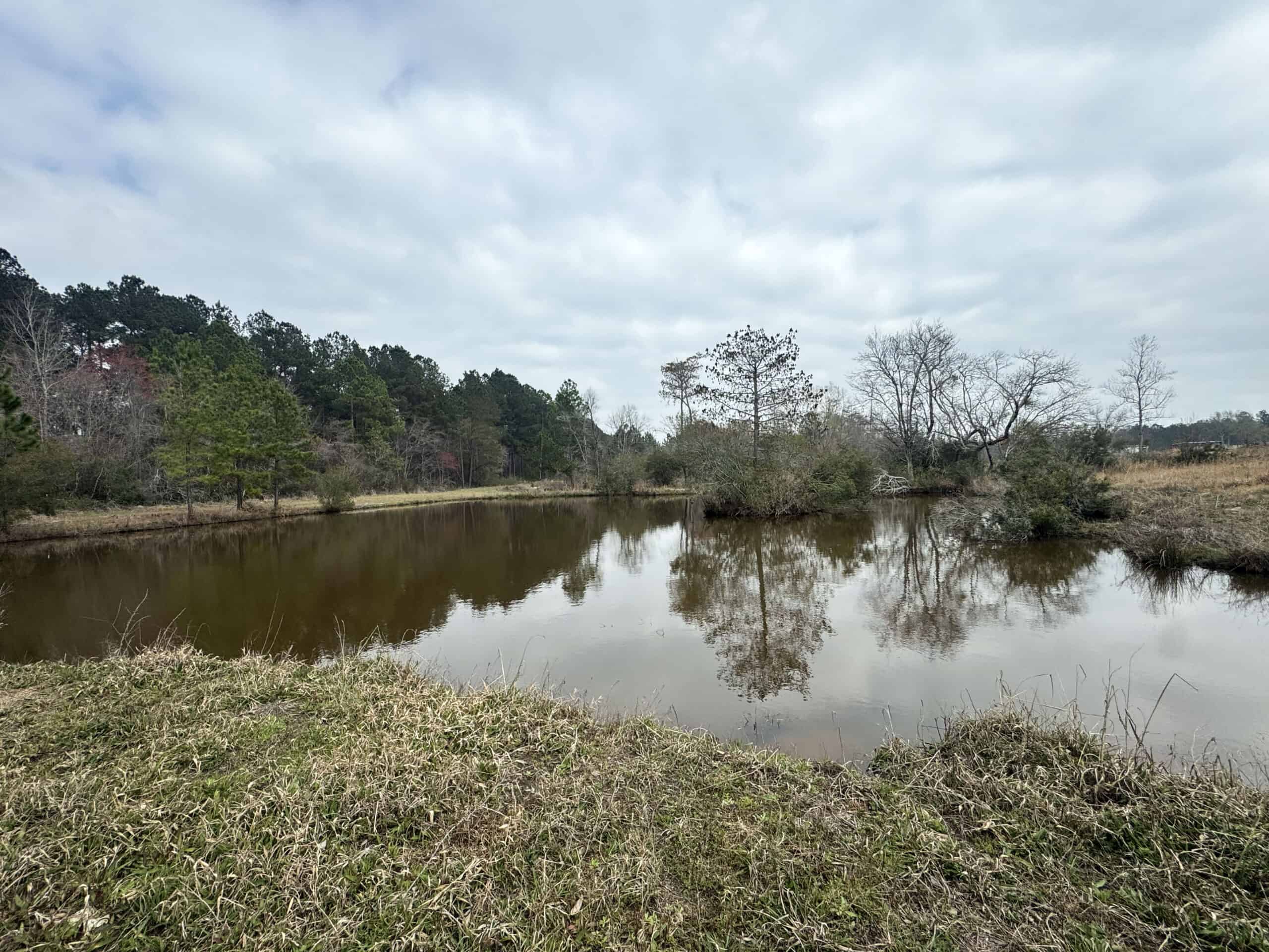 This 38 acres offers a hunting retreat or recreational getaway in Worth Cty GA