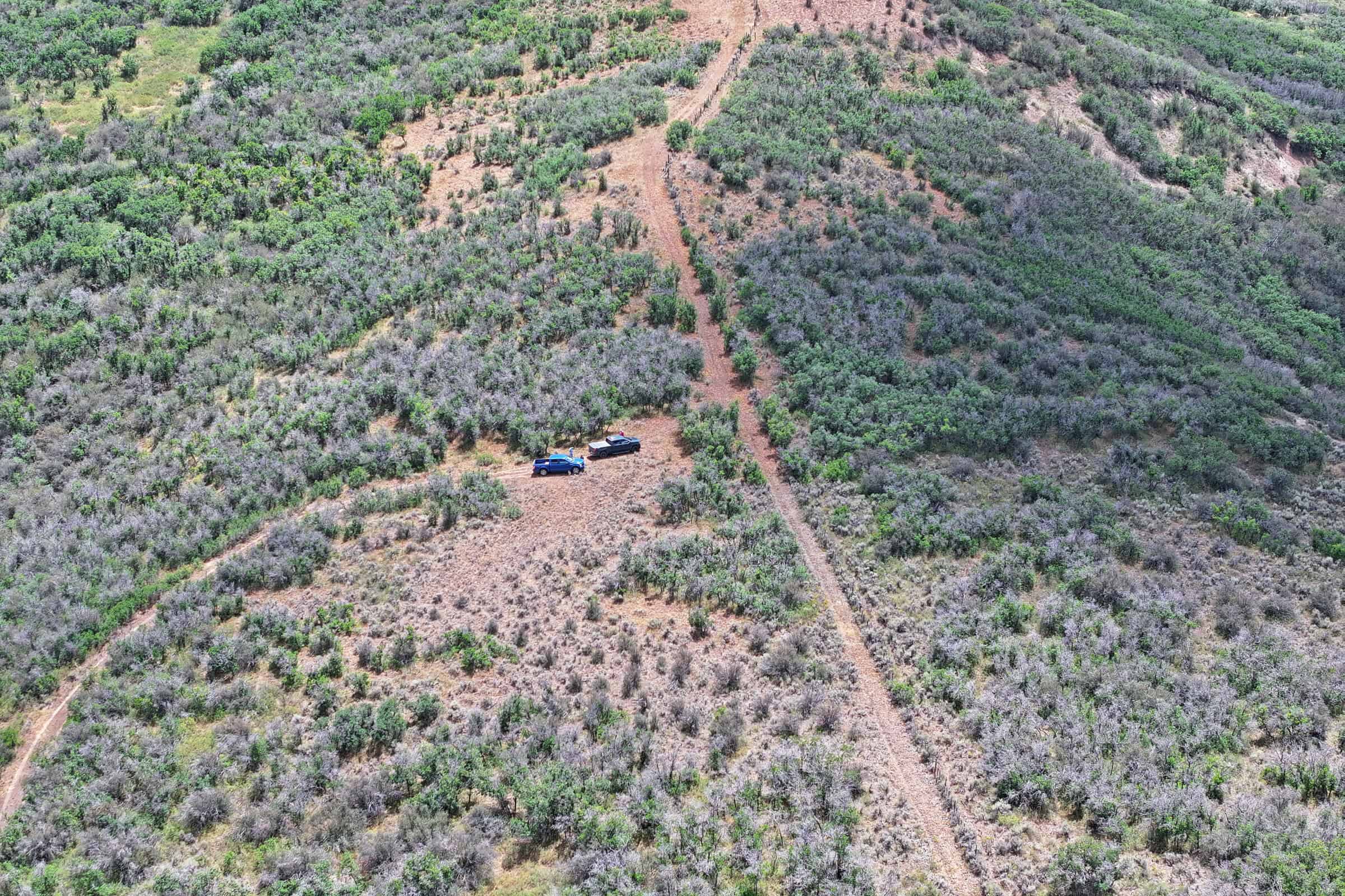 36 Acres in Harrison Creek, Collbran,  CO