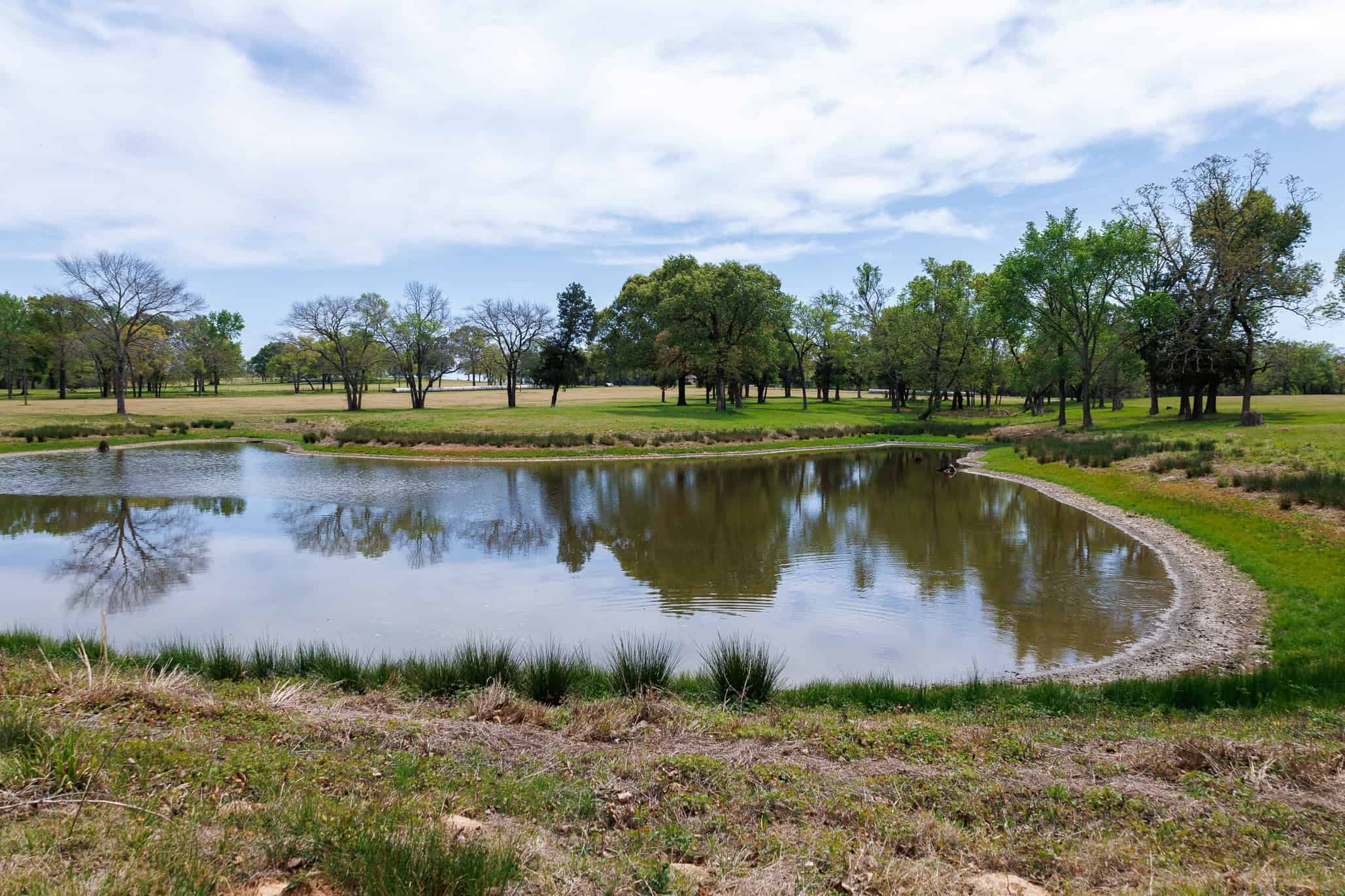 East Texas Recreational Ranch Near Ben Wheeler in Van Zandt County