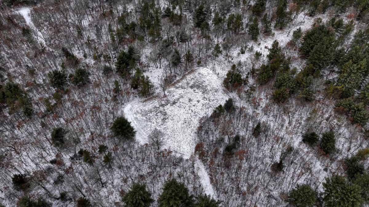 160± acre Monroe County property Located off dead end road,