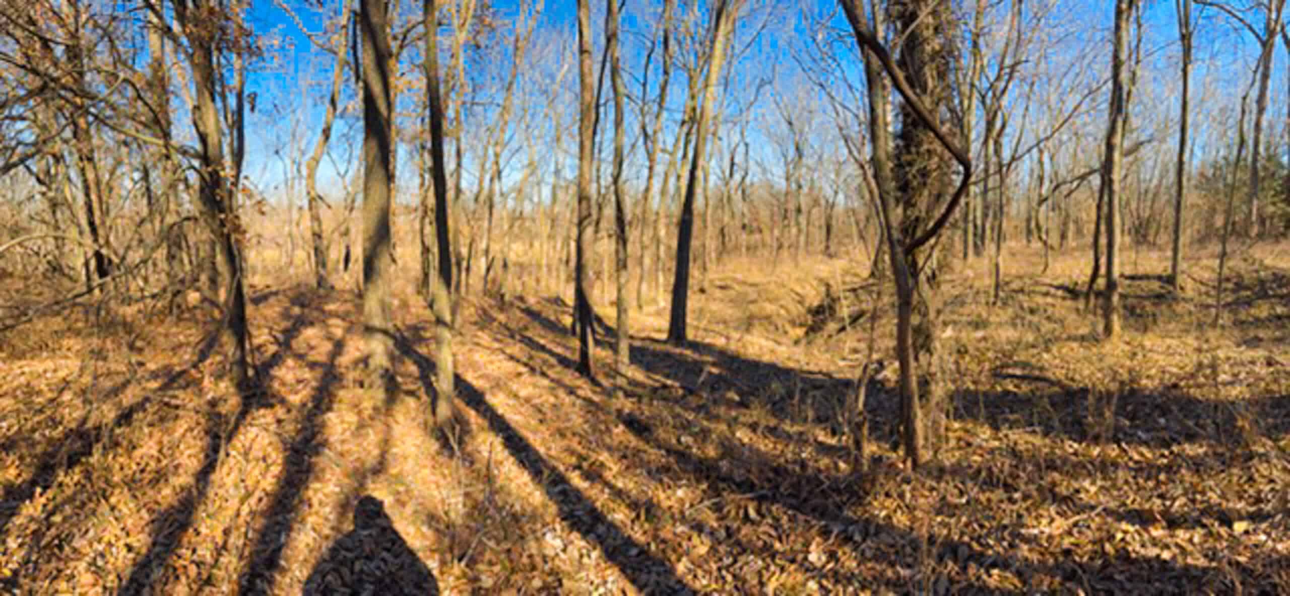 19± Acres of Land for Sale in Daviess County, Missouri