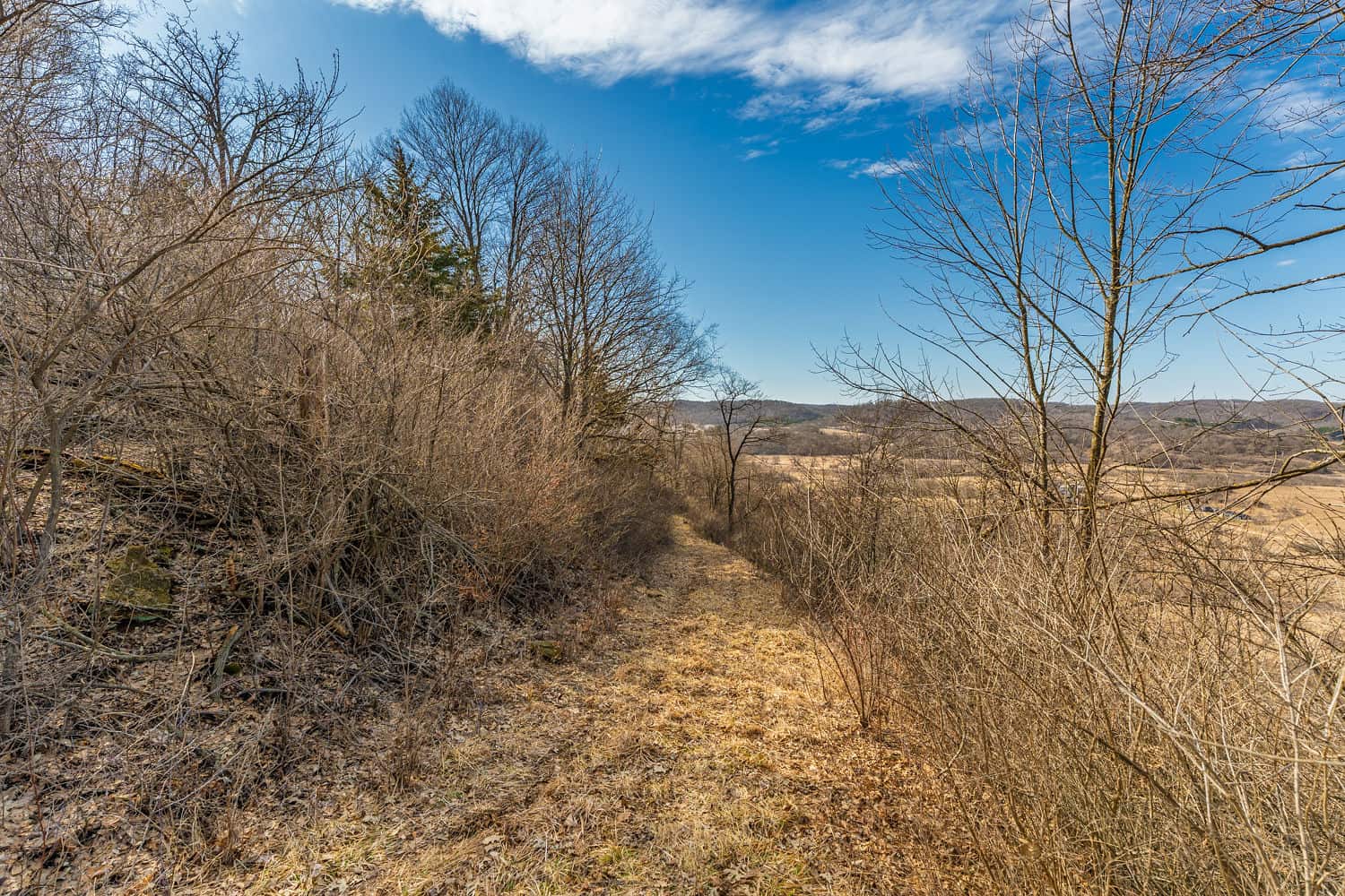 50 Acre Recreational -Hunting Land For Sale Richland County WI