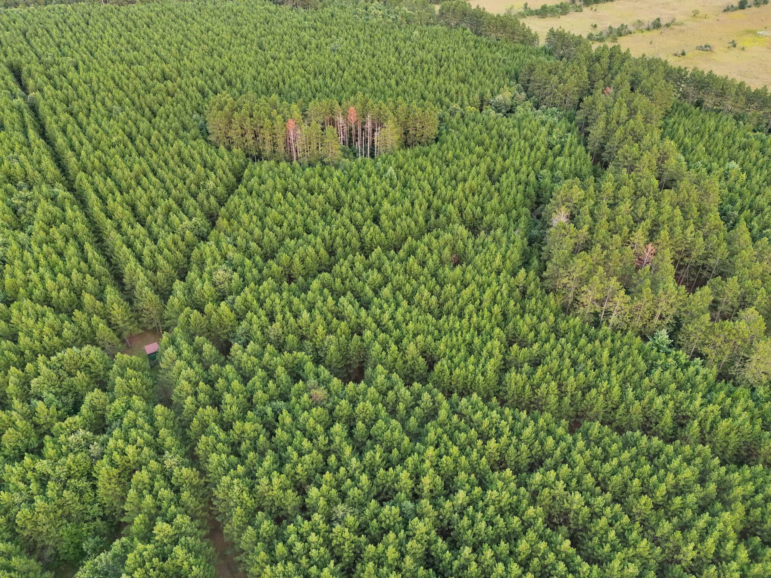 160± acre Monroe County property Located off dead end road,
