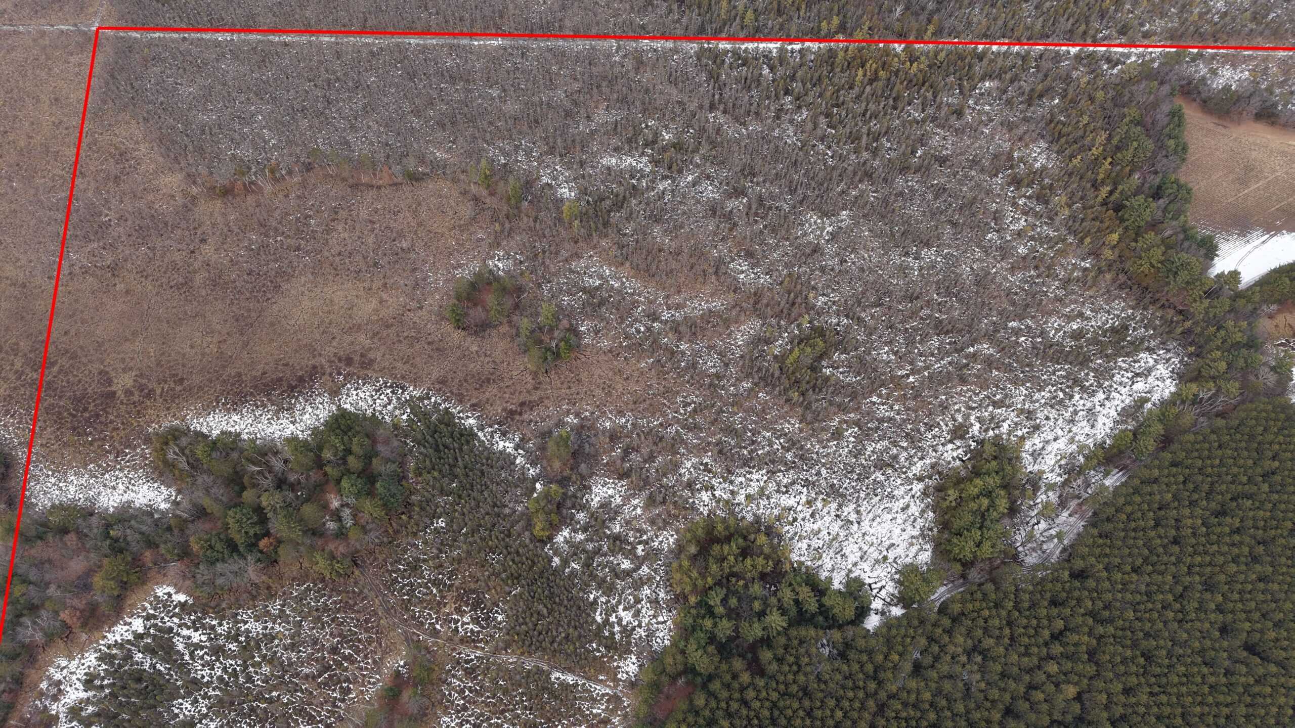 Portage County Wisconsin 80 Acres of Hunting Land for Sale