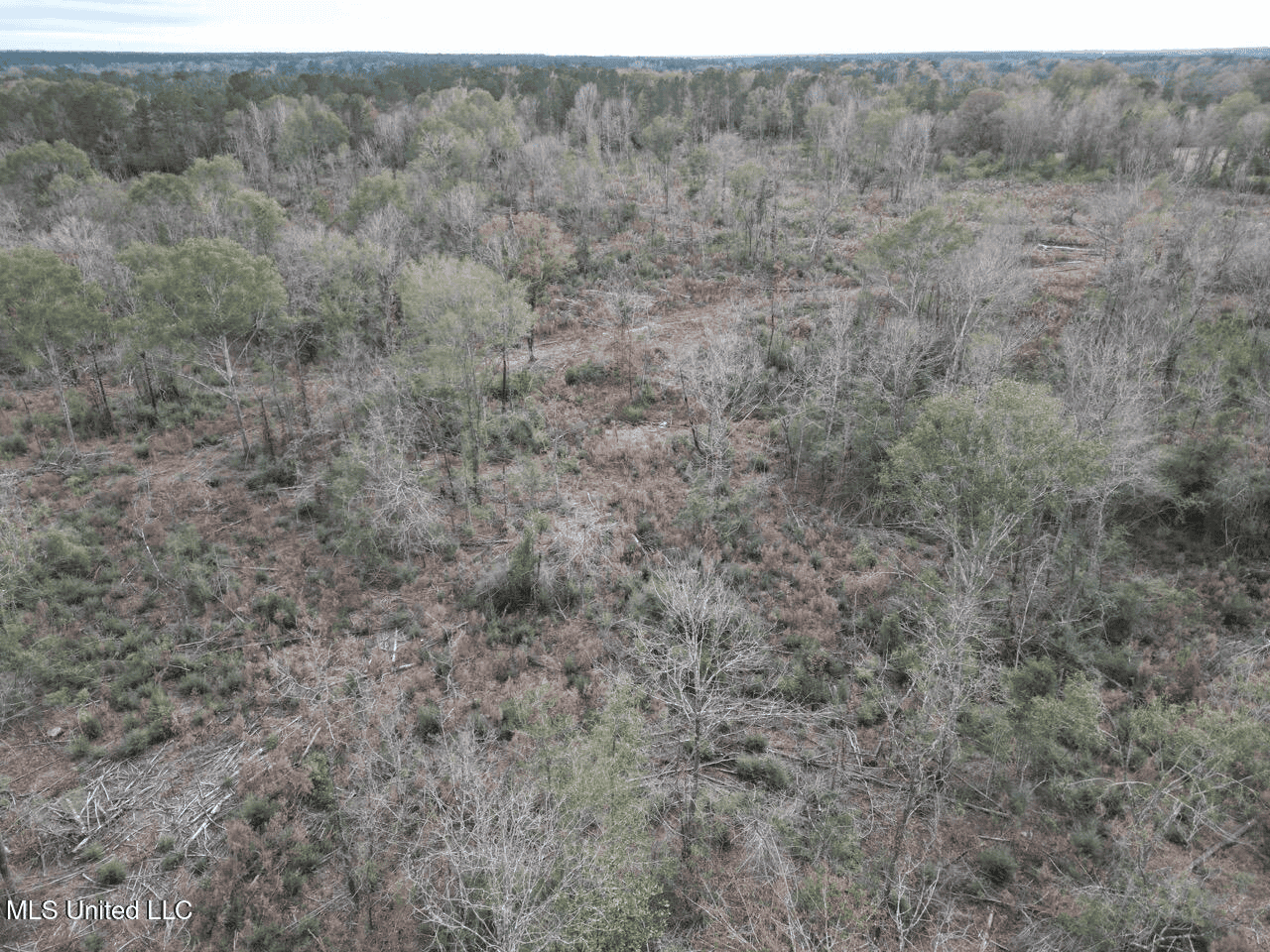 36 Acres in Pike County, Mississippi – Scenic Rural Retreat