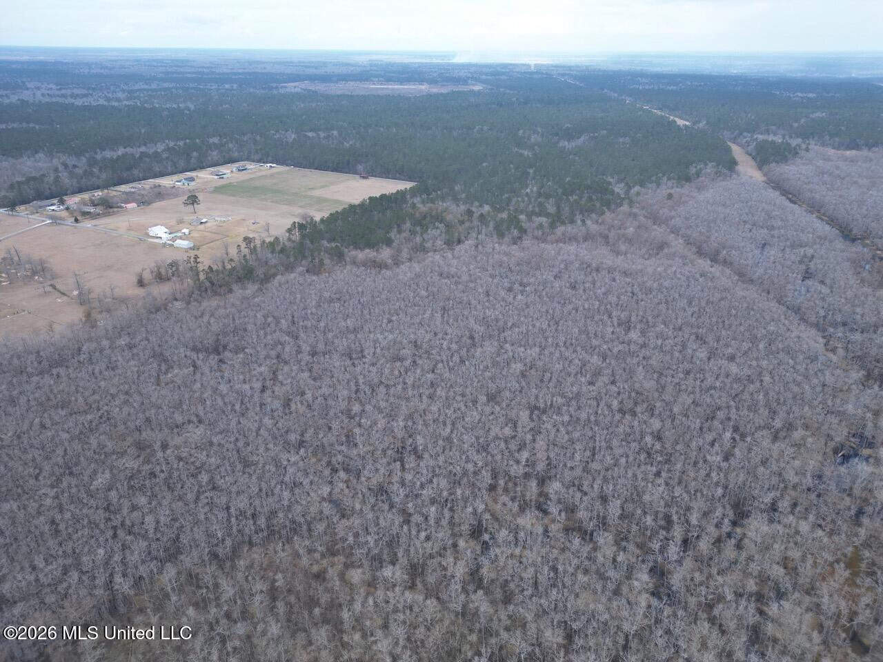 431± Acres with Calcasieu River Frontage in Calcasieu Parish