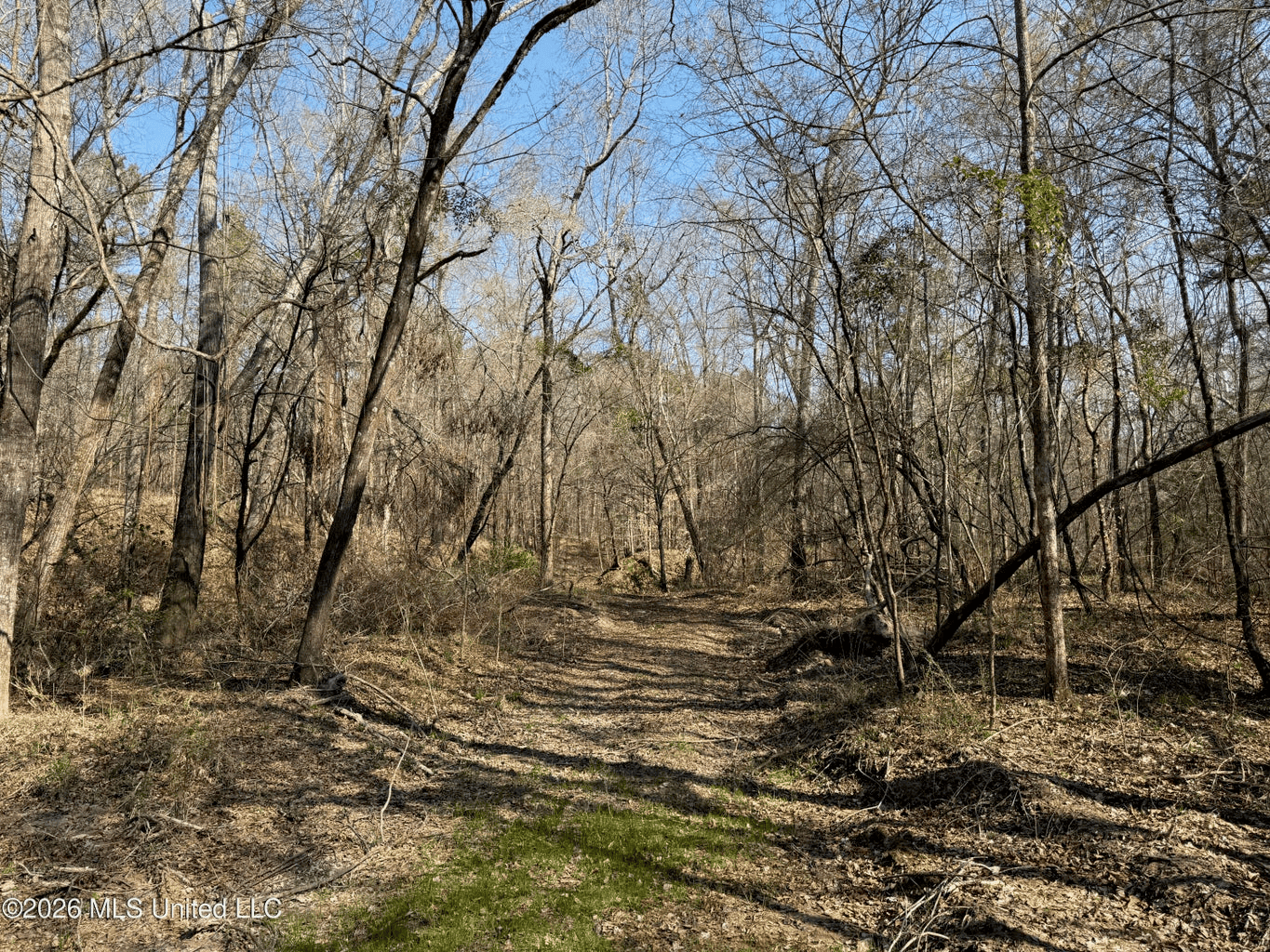 Land for Sale in Simpson County