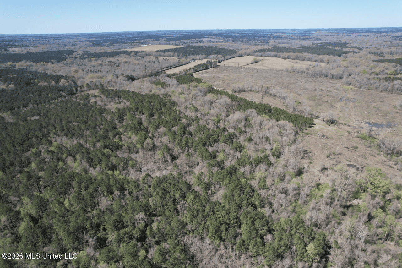 123± Acres Centreville MS on Chance Rd Amite County