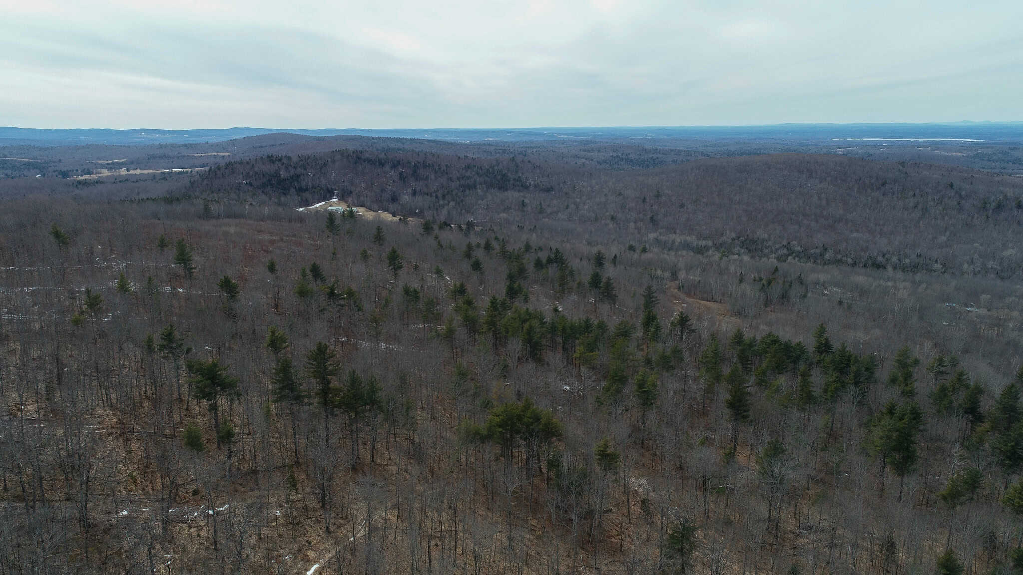 Expansive Mountain-View Acreage with Timber Value & Road Frontage